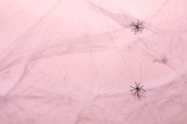 Örümcek ağı ve örümcekler pembe arka planda, üst görünümde