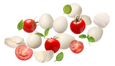 Caprese salatası için malzemeler. Mozzarella topları, fesleğen ve domatesler beyaz arka plana düşüyor