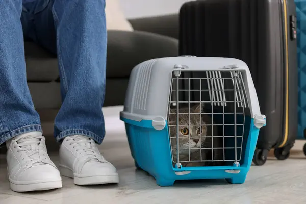 Travel with pet. Man near carrier with cute cat indoors, closeup