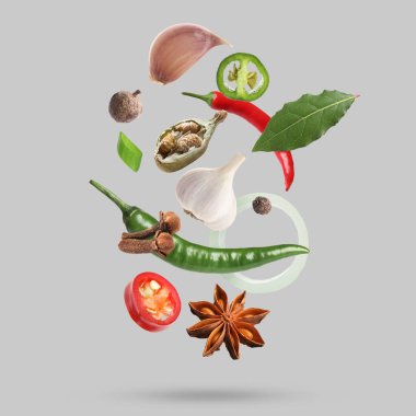 Açık gri arkaplana düşen farklı baharatlar