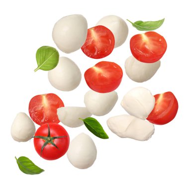 Caprese salatası için malzemeler. Mozzarella topları, fesleğen ve domatesler beyaz arka plana düşüyor
