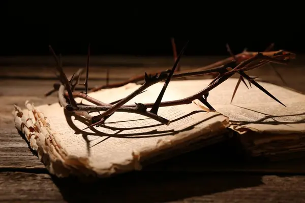 Crown of thorns and Bible on wooden table, closeup