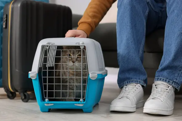 Travel with pet. Man near carrier with cute cat indoors, closeup