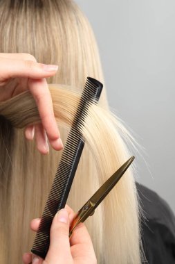 Kuaför açık gri arkaplanda makasla müşterinin saçını kesiyor, yakın plan.