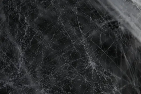 Gruseliges Weißes Spinnennetz Auf Dunklem Hintergrund Nahaufnahme — Stockfoto