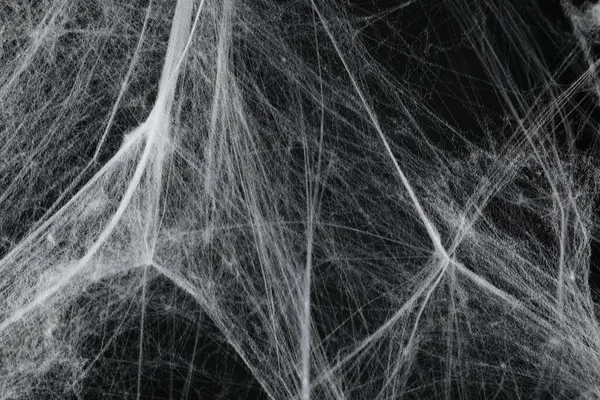 Gruseliges Weißes Spinnennetz Auf Schwarzem Hintergrund Nahaufnahme — Stockfoto