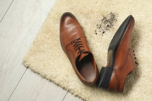 Brown shoes and mud on beige carpet, top view. Space for text