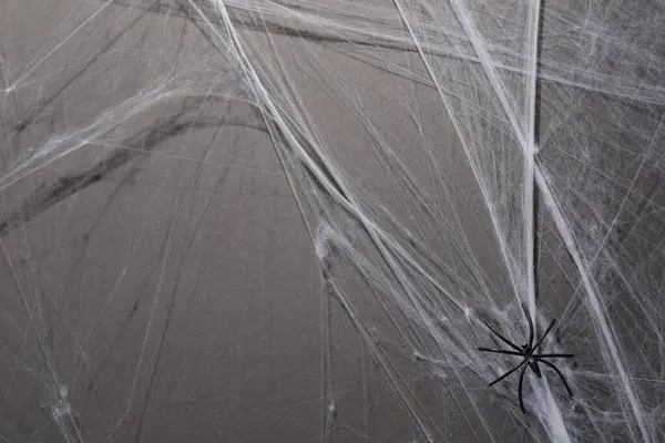 Spinnennetz Und Spinne Auf Grauem Hintergrund Draufsicht — Stockfoto