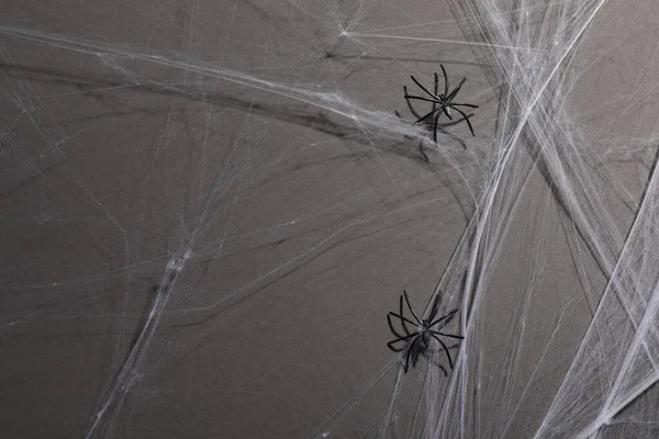 Spinnennetz Und Spinnen Auf Grauem Hintergrund Draufsicht — Stockfoto