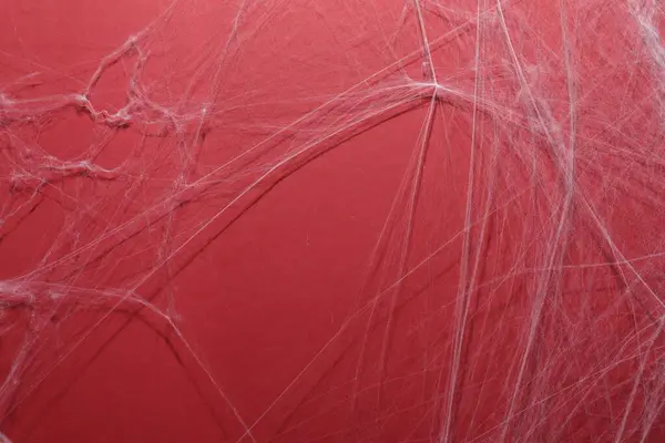 Effrayant Toile Araignée Blanche Suspendue Sur Fond Rouge — Photo