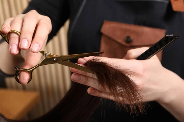 Hairdresser cutting client\'s hair with scissors in salon, closeup