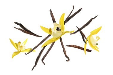 Vanilya kabukları ve sarı çiçekler beyaz arka plana düşüyor