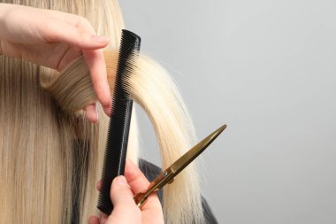 Kuaför açık gri arka planda müşterinin saçını tarıyor ve kesiyor. Yakın plan. Metin için boşluk