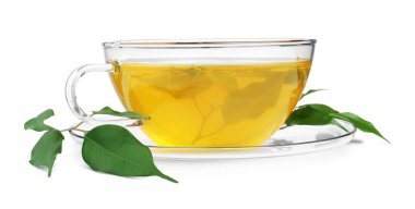 Taze yeşil çay fincanda, yapraklar ve çay tabağı beyazda izole.