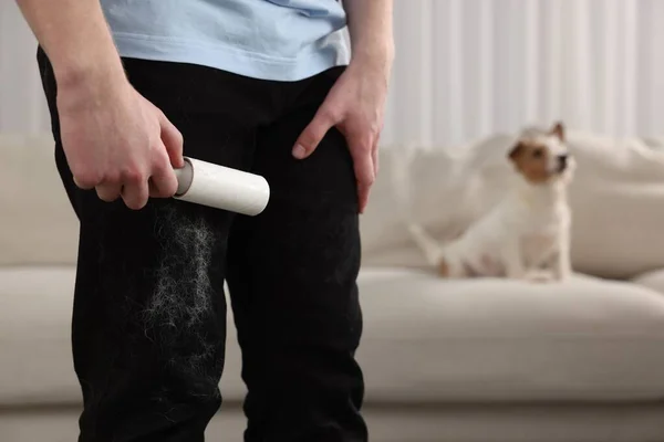 Pet shedding. Man with lint roller removing dog\'s hair from pants at home, closeup