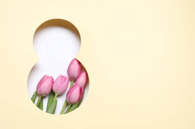 8 Mart tebrik kartı tasarımı, laleler ve metin için yer, üst görünüm. Uluslararası Kadınlar Gününüz kutlu olsun.