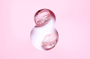 8 Mart 'ta Ranunculus çiçekli tebrik kartı tasarımı, üst manzara. Uluslararası Kadınlar Gününüz kutlu olsun.