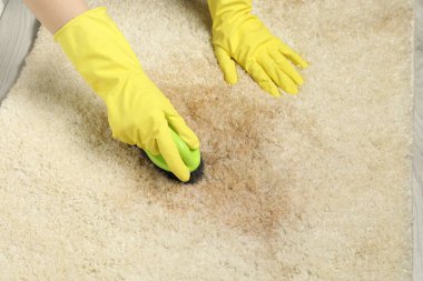 Bej halıdaki lekeyi çıkaran kadın, yakın plan.