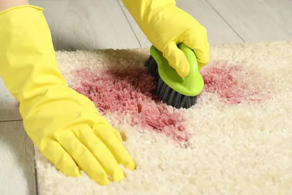 Woman removing stain from beige carpet, closeup