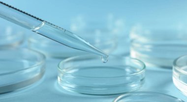 Açık mavi arkaplanda pipetten petri kabına sıvı damlıyor.