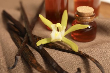 Aromatik vanilya özü, kapsüller ve masa örtüsü, yakın plan.