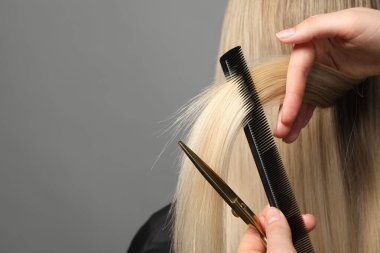 Kuaför açık gri arka planda müşterinin saçını tarıyor ve kesiyor. Yakın plan. Metin için boşluk