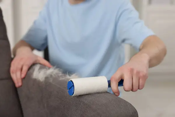 Pet shedding. Man with lint roller removing dog\'s hair from armchair at home, closeup