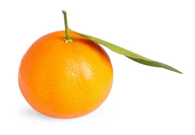 Taze taze mandalina, beyaz yapraklı yeşil yaprak.