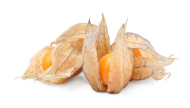 Beyaza izole edilmiş kalixleri olan birçok olgun bitki özü.