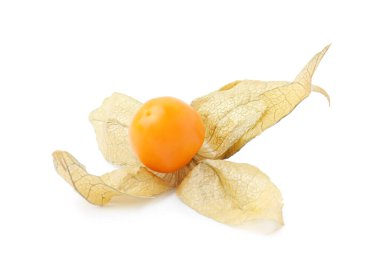 Olgun bitki kökü meyvesi ve beyaz kaliks izole edilmiş.