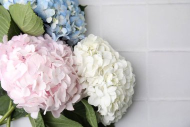 Beyaz fayanslı arka planda güzel ortanca çiçekleri, üst manzara. Metin için boşluk