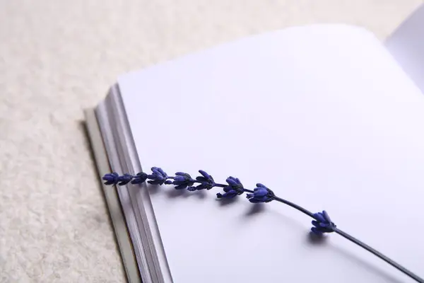 Preserved lavender flower and notebook on white textured table, closeup. Space for text