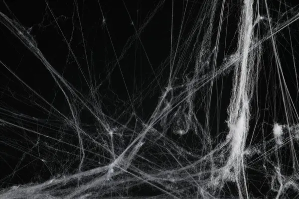 Gruseliges Weißes Spinnennetz Auf Schwarzem Hintergrund Nahaufnahme — Stockfoto