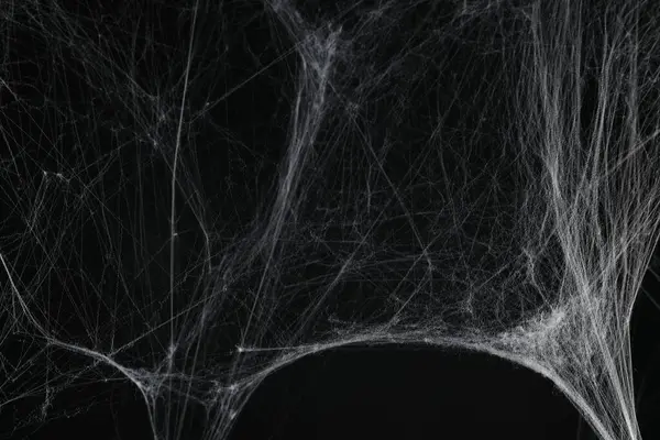 Gruseliges Weißes Spinnennetz Auf Schwarzem Hintergrund — Stockfoto