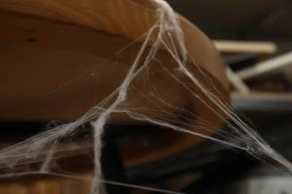 Altes Spinnennetz Auf Holztisch Drinnen Nahaufnahme — Stockfoto