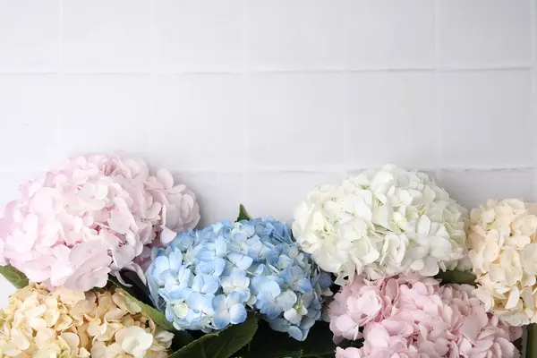 Lindas Flores Hortênsia Fundo Azulejos Brancos Vista Superior Espaço Para — Fotografia de Stock