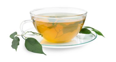 Taze yeşil çay fincanda, yapraklar ve çay tabağı beyazda izole.