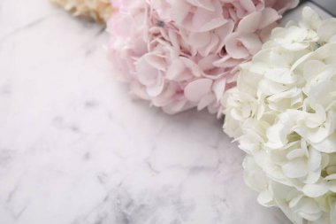 Beyaz mermer arka planda güzel ortanca çiçekleri, yakın plan. Metin için boşluk