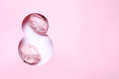 8 Mart tebrik kartı tasarımı, ranunculus çiçekleri ve metin için alan, üst görünüm. Uluslararası Kadınlar Gününüz kutlu olsun.