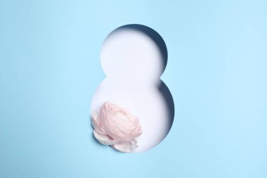 8 Mart 'ta Ranunculus çiçekli tebrik kartı tasarımı, üst manzara. Uluslararası Kadınlar Gününüz kutlu olsun.