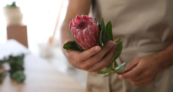Florist with beautiful protea flower in workshop, closeup
