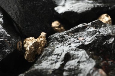 Islak taşların üzerinde parlak altın külçeler, yakın plan.