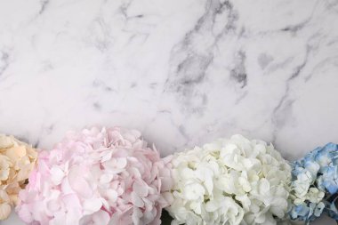 Beyaz mermer zemin üzerinde güzel ortanca çiçekleri, üst manzara. Metin için boşluk