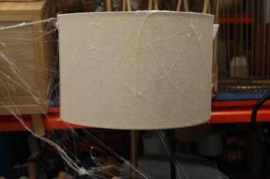 Lambanın üzerinde eski örümcek ağı, yakın plan