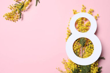 Pembe arka planda sarı mimoza çiçekleri olan 8 Mart tebrik kartı tasarımı. Uluslararası Kadınlar Gününüz kutlu olsun.