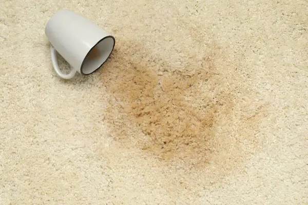Overturned cup and spilled drink on beige carpet, top view