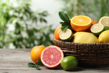 Farklı taze narenciye meyveleri ve yaprakları sepetin içinde ahşap masada bulanık arka planda, yakın planda. Metin için boşluk