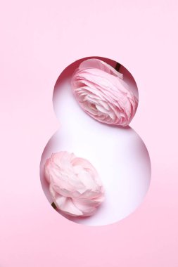 8 Mart 'ta Ranunculus çiçekli tebrik kartı tasarımı, üst manzara. Uluslararası Kadınlar Gününüz kutlu olsun.