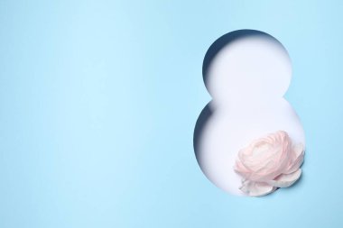 8 Mart tebrik kartı tasarımı, Ranunculus çiçeği ve metin için alan, üst görünüm. Uluslararası Kadınlar Gününüz kutlu olsun.