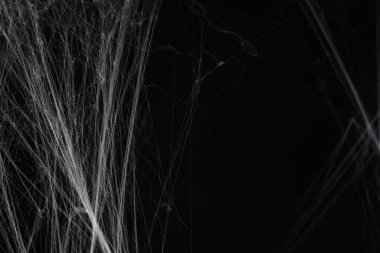 Siyah arkaplanda ürkütücü beyaz örümcek ağı, metin için boşluk